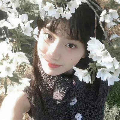 认识狗狗